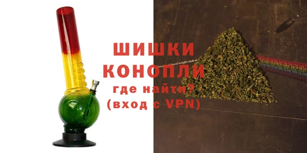 ПСИЛОЦИБИНОВЫЕ ГРИБЫ Белокуриха