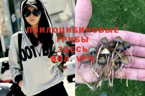 ПСИЛОЦИБИНОВЫЕ ГРИБЫ Белокуриха